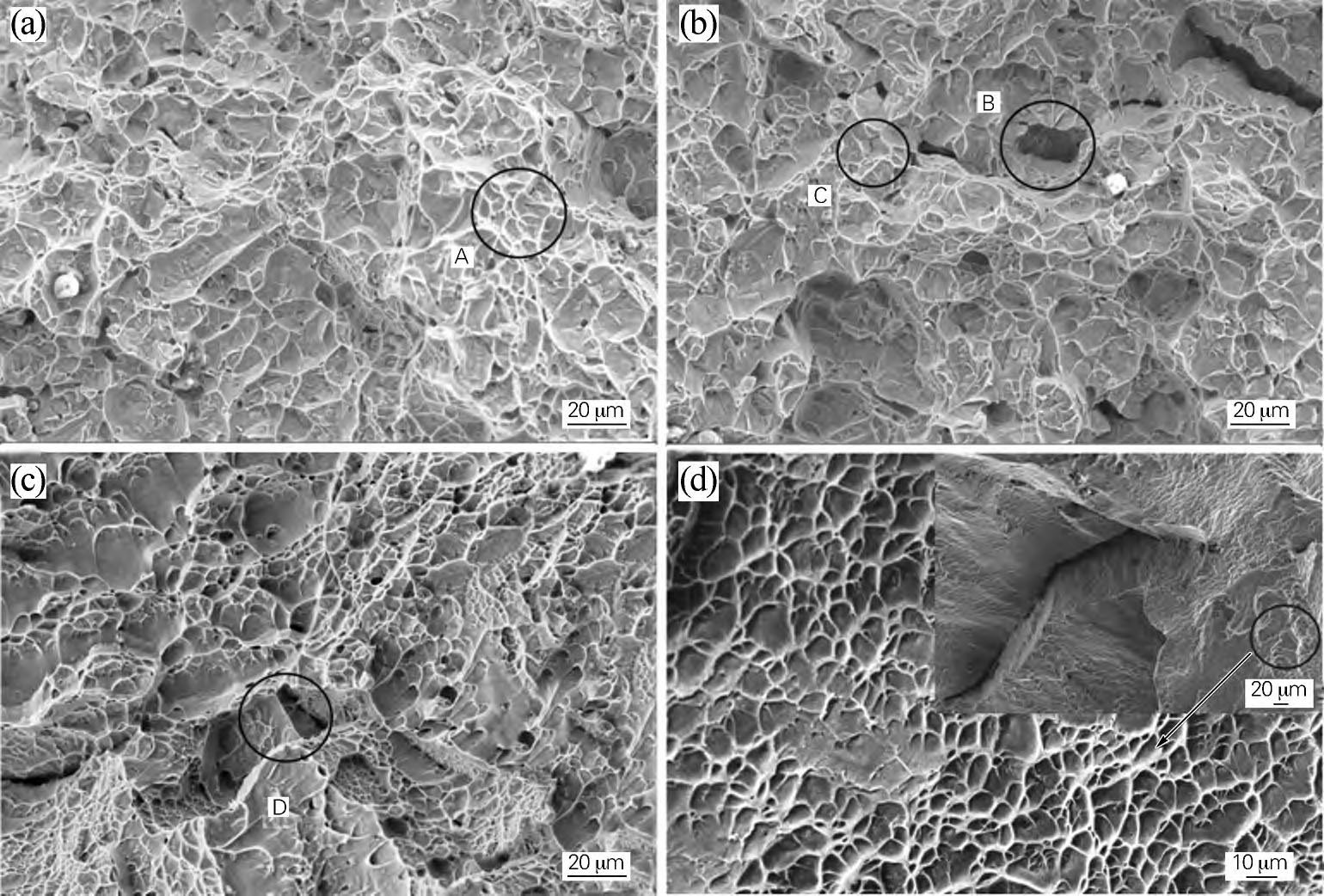 固溶處理對(duì)TC11鈦合金棒材組織與性能的影響