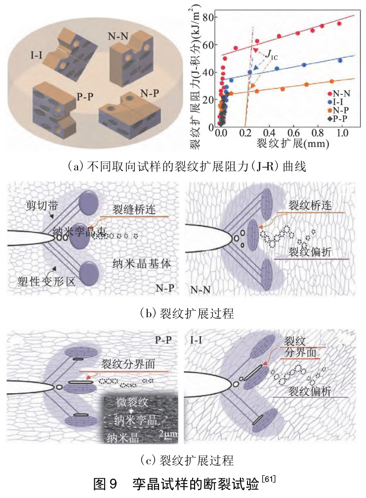 深冷超聲滾壓TA1/TA2/TC4鈦合金微觀作用機理的研究進展