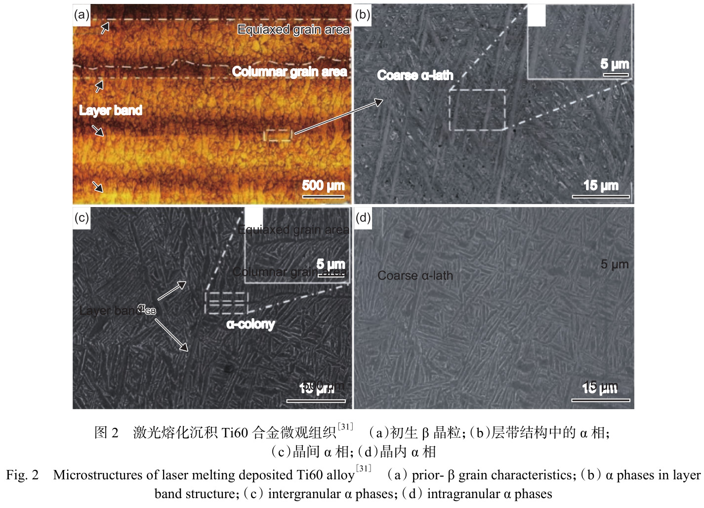 增材制造600℃高溫鈦合金研究進展