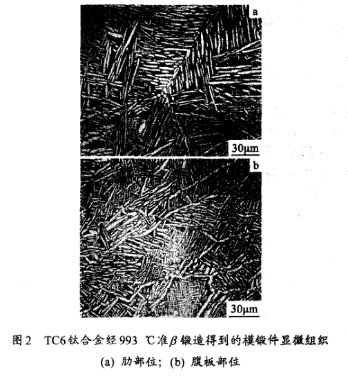 TC6鈦合金經993 ℃準鍛造得到的模鍛件顯微組織(a) 肋部位;(b) 腹板部位 TC6鈦合金經993 ℃準鍛造得到的模鍛件顯微組織(a) 肋部位;(b) 腹板部位