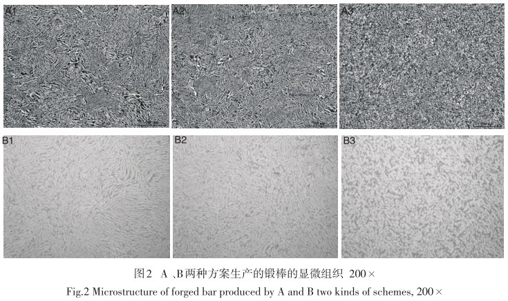 1638977586878361.jpg 3.jpg