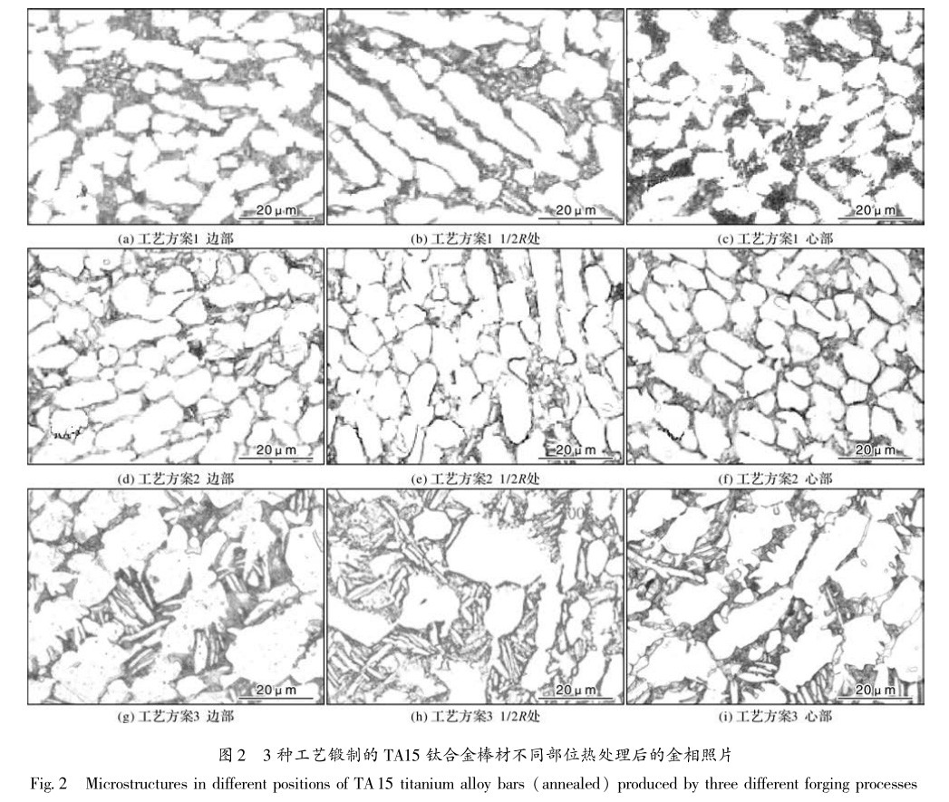 1650536905492715.jpg t2.jpg