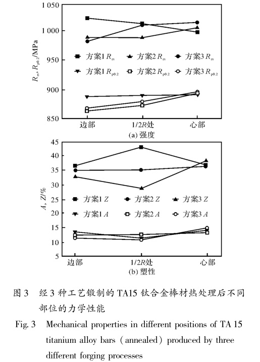 1650536924155161.jpg t3.jpg