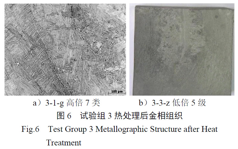 1657926509955692.jpg t6.jpg