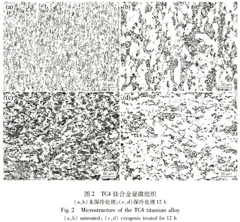 1671881609969079.jpg t2.jpg