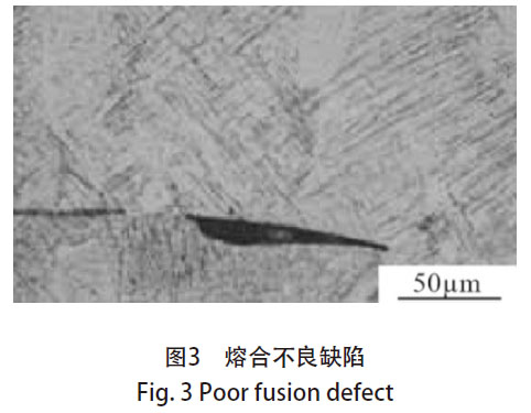 1672582608418997.jpg t3.jpg