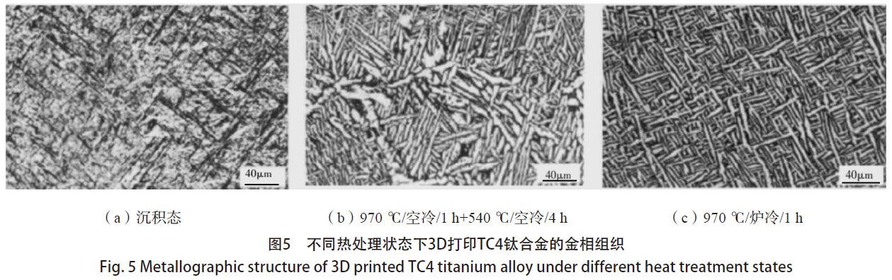 1672582629954573.jpg t5.jpg