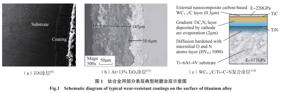 1652567794778555.jpg t1.jpg