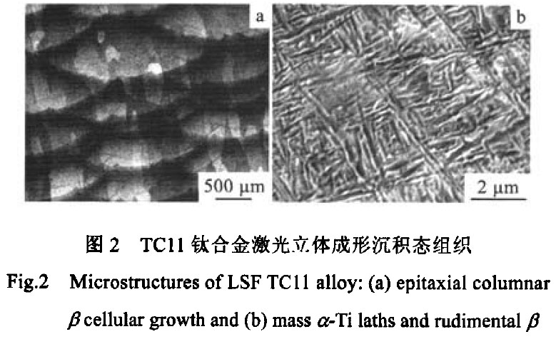 1683556034171309.jpg t2.jpg