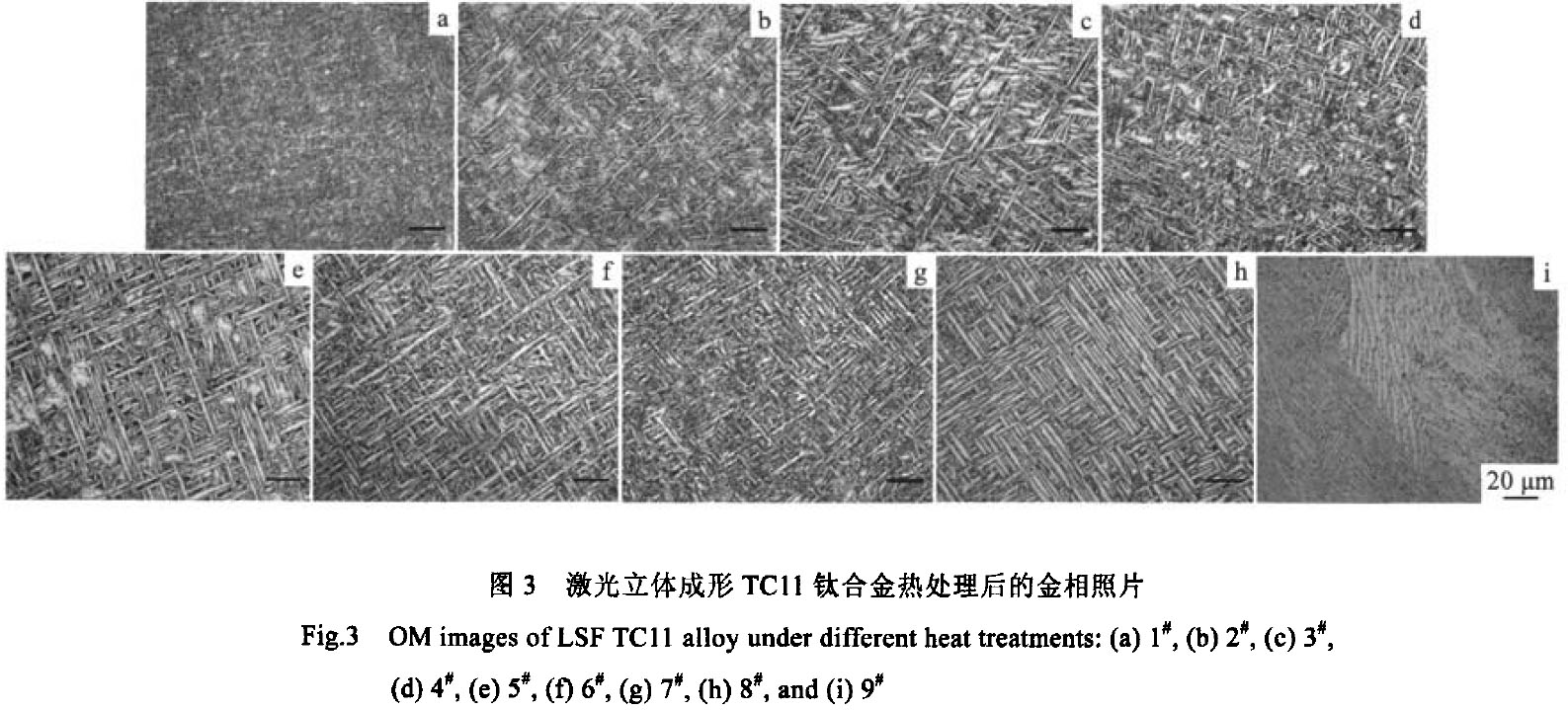 1683556063689378.jpg t3.jpg