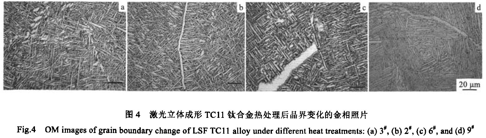 1683556101583664.jpg t4.jpg