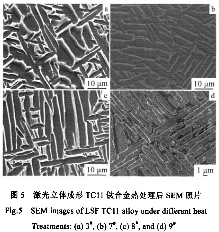 1683556110673941.jpg t5.jpg