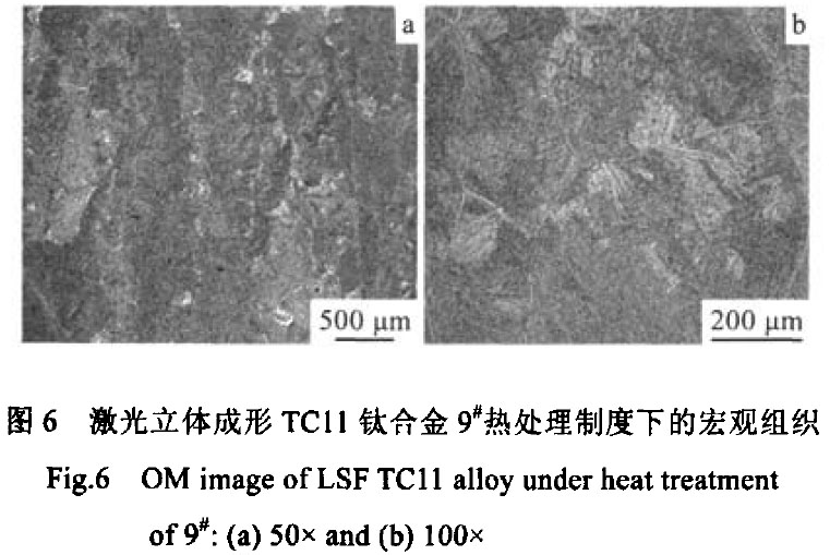 1683556123430524.jpg t6.jpg