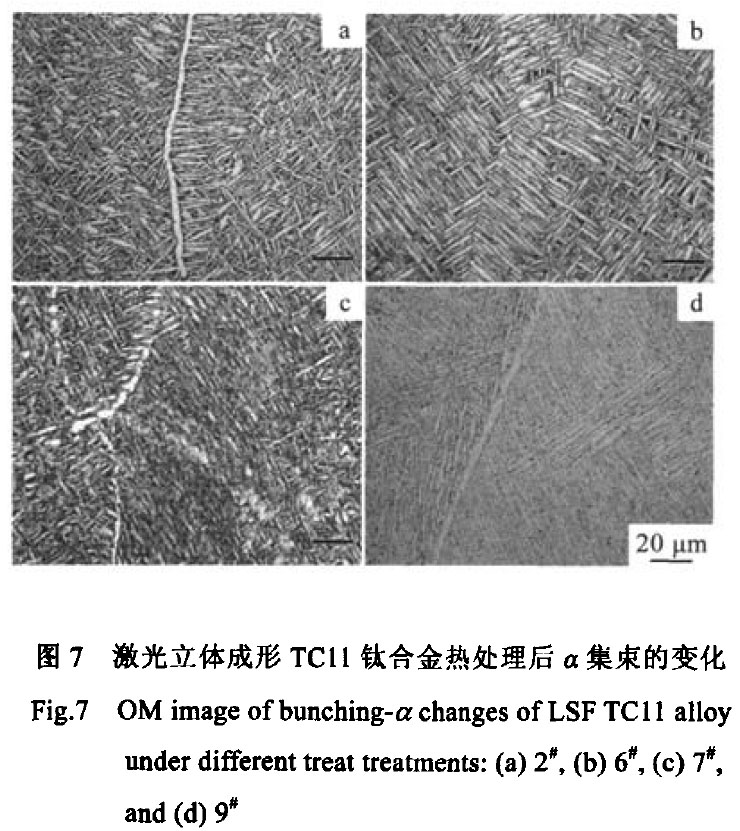 1683556143987541.jpg t7.jpg