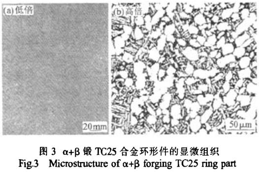 1686388693473374.jpg t3.jpg