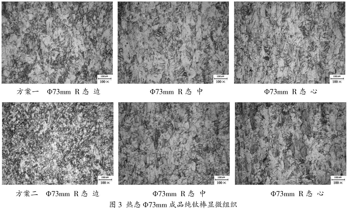 1686390428458336.jpg t3.jpg