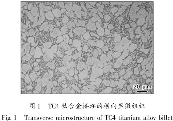 1686573301514170.jpg t1.jpg