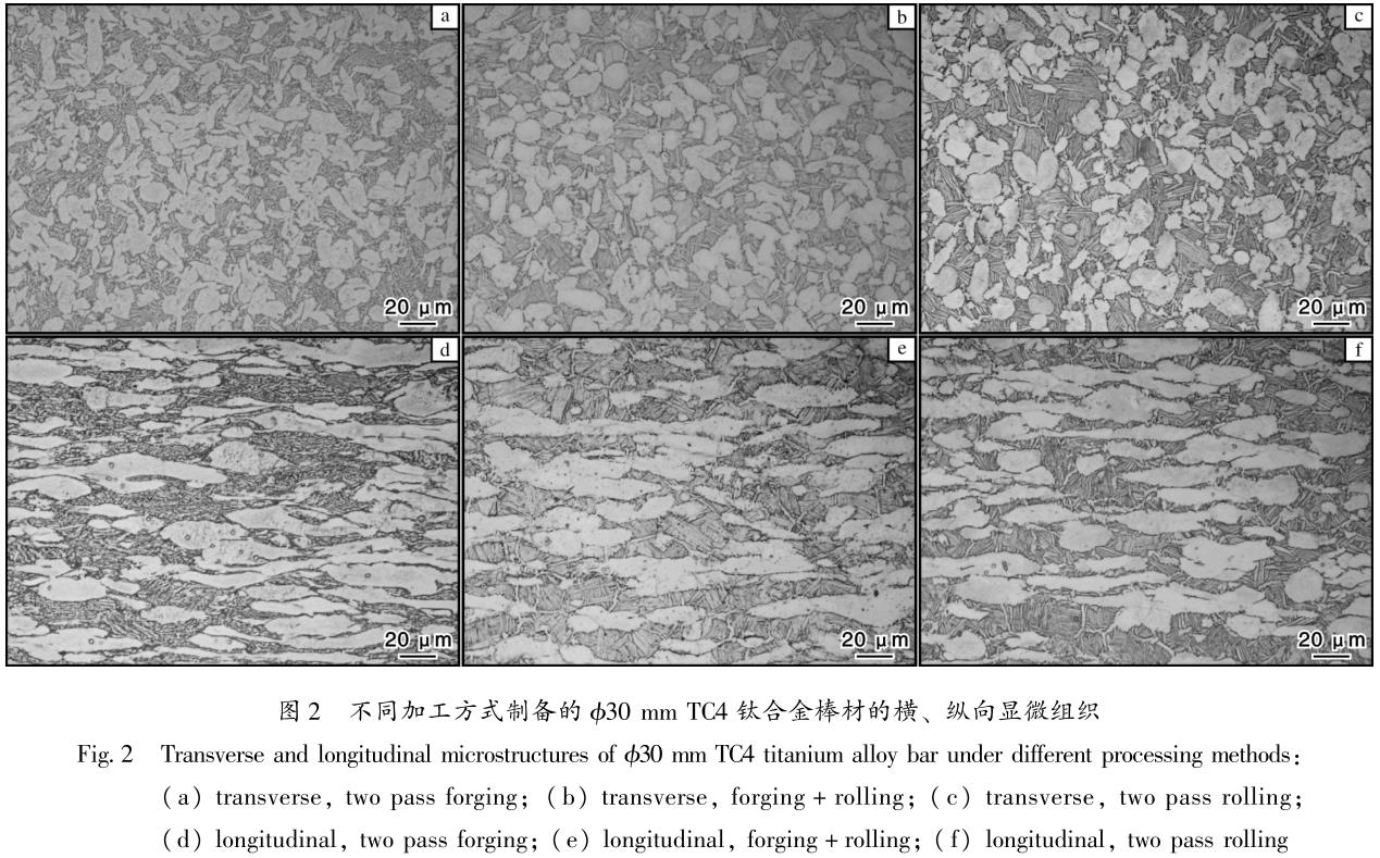 1686573332378575.jpg t2.jpg