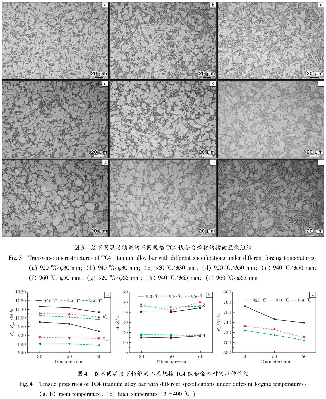 1686573360751657.jpg t3-4.jpg