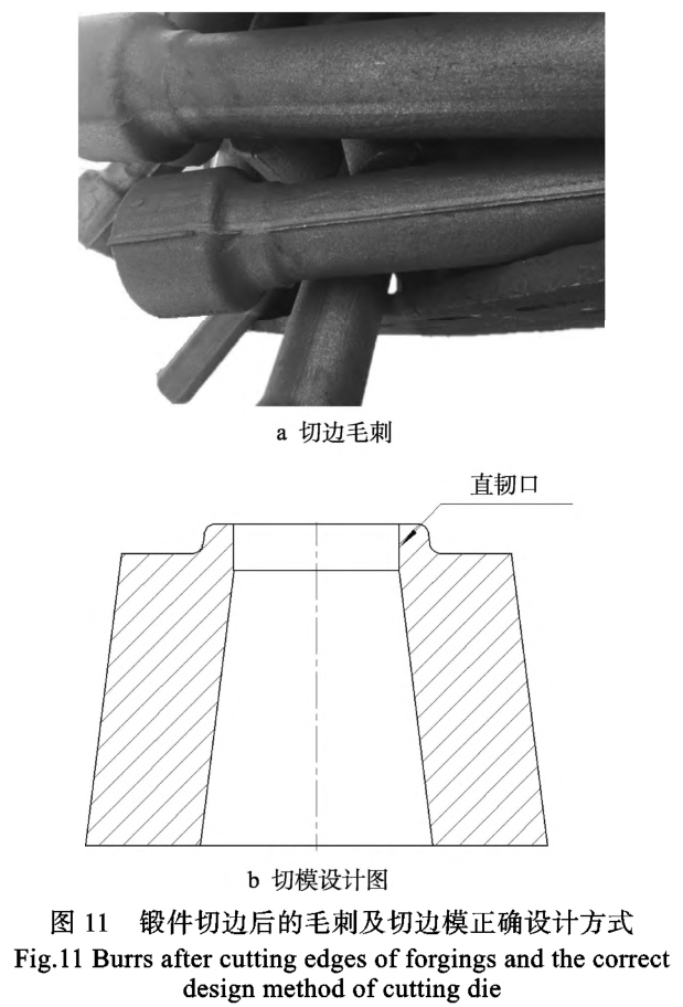 1687272026974196.jpg t11.jpg