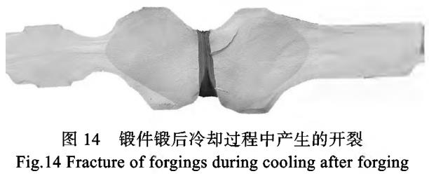 1687272053111073.jpg t14.jpg