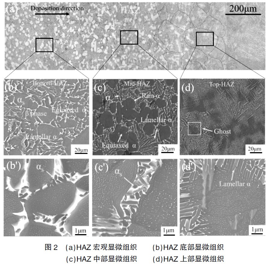 1689806676627179.jpg 1681287274667667.jpg