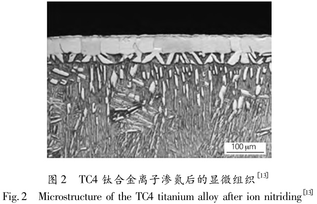 1692174727998260.jpg t2.jpg