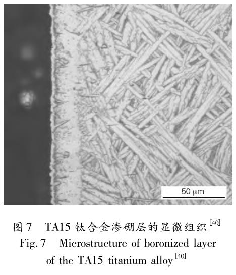 1692174889484252.jpg t7.jpg