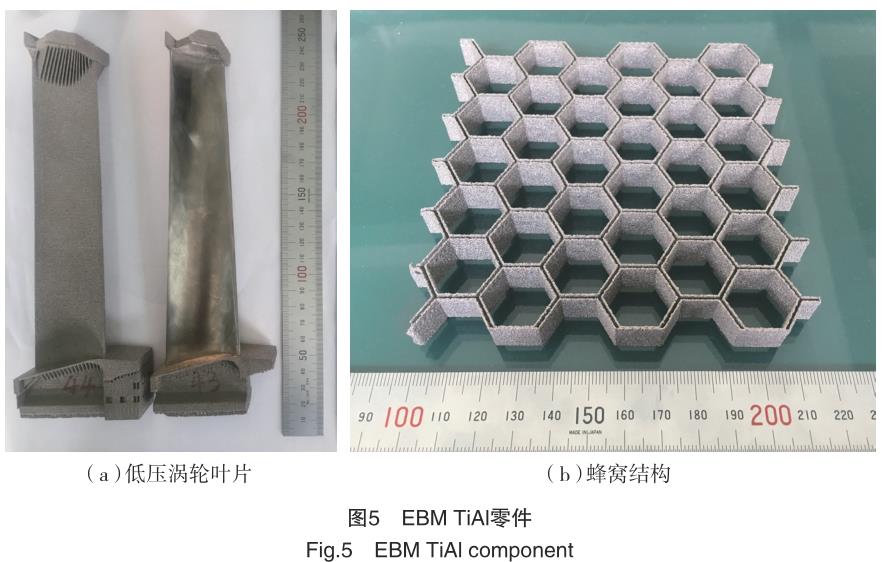 1692436513437693.jpg t5.jpg