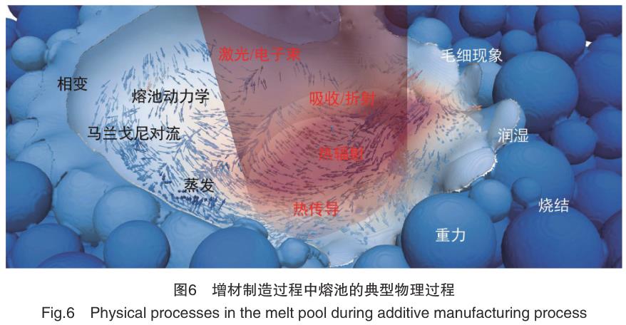 1692436523514362.jpg t6.jpg