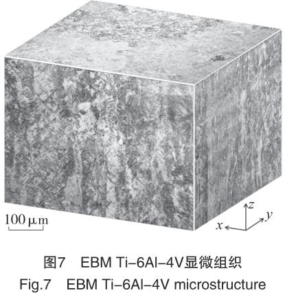 1692436533527223.jpg t7.jpg