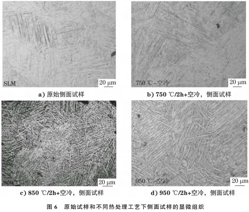 1708356151950024.jpg t6.jpg