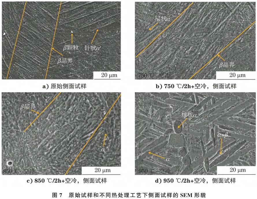 1708356161923503.jpg t7.jpg