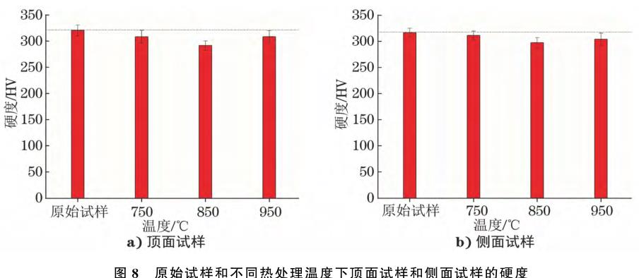 1708356169875308.jpg t8.jpg