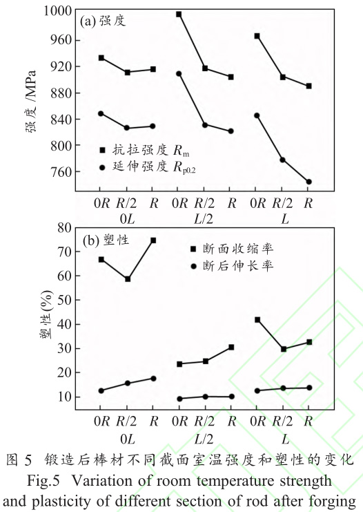 1708870574899682.jpg t5.jpg