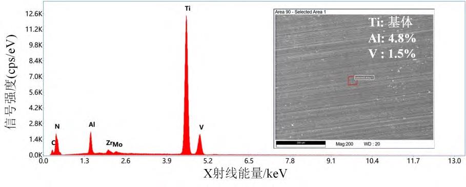 1710933305617245.jpg 4-1.jpg