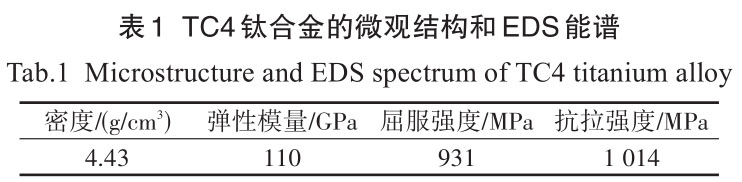 1710936313806492.jpg b1.jpg