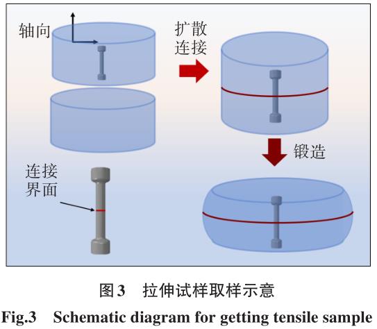 1700449271135482.jpg b3.jpg