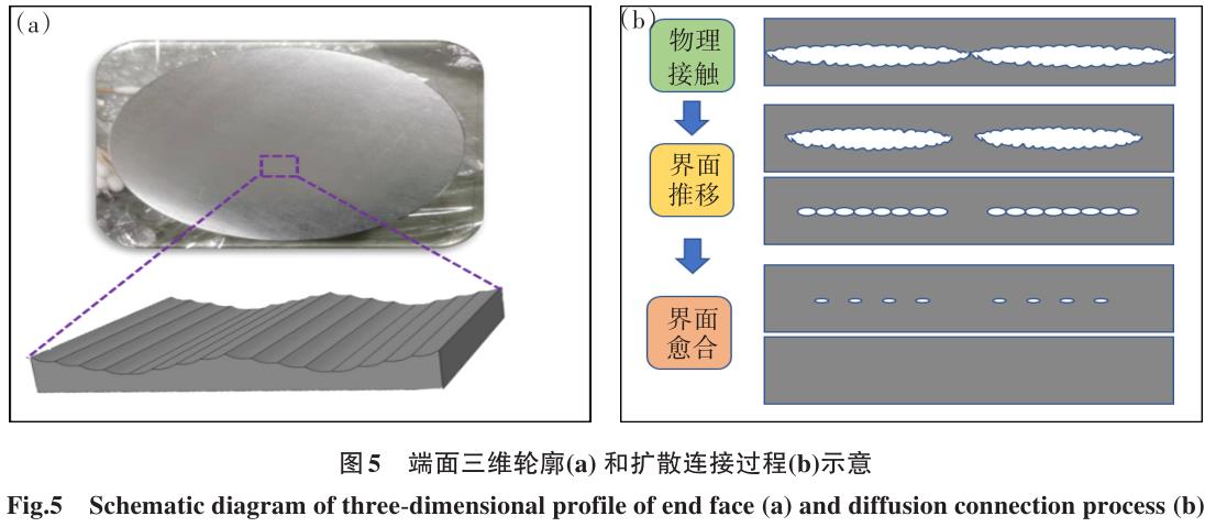 1700449285570955.jpg t5.jpg