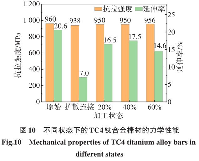 1700449316209383.jpg t10.jpg