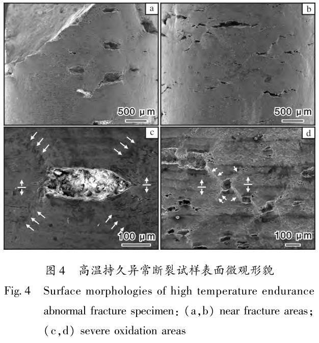 1710991541993633.jpg t4.jpg