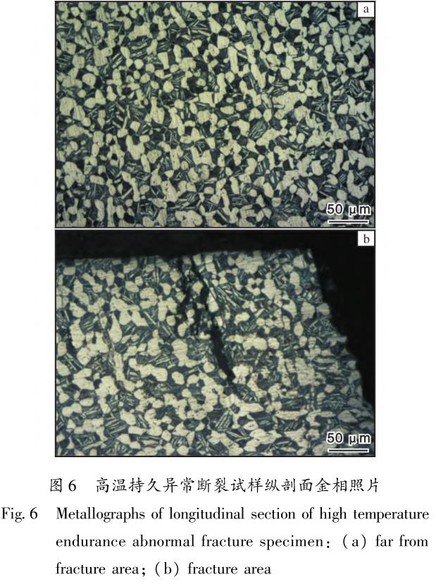 1710991557614200.jpg t6.jpg