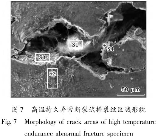 1710991566149221.jpg t7.jpg