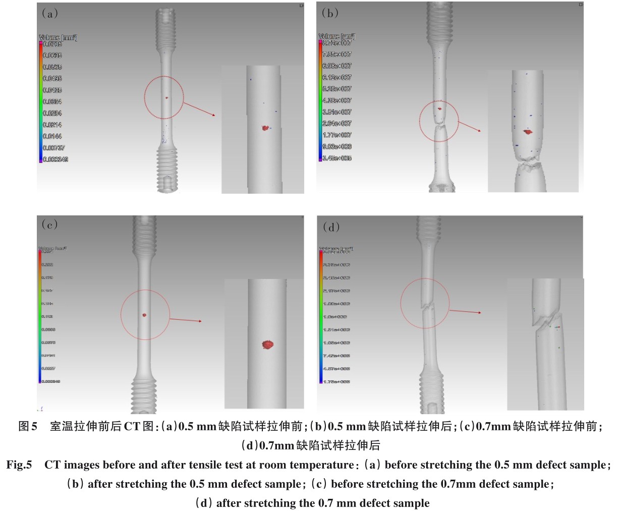 1704850806912314.jpg t5.jpg