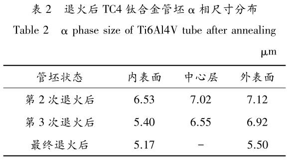 1705838381377268.jpg b2.jpg
