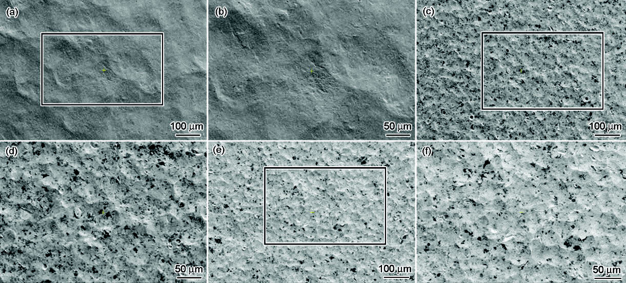 1710851719730323.jpg 2.jpg