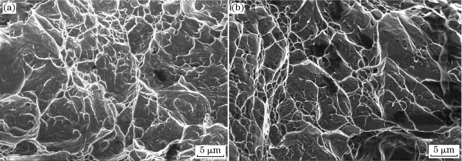 1710902219945122.jpg 4.jpg