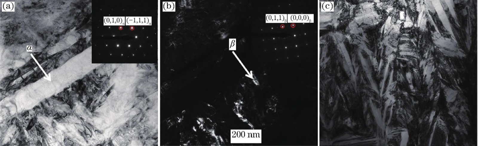 1710902269865048.jpg 5.jpg