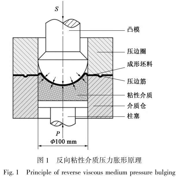 1712419456518792.jpg t1.jpg