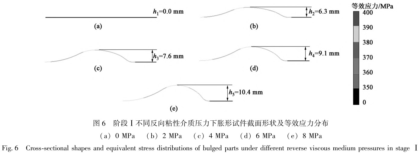 1712419497109344.jpg t6.jpg